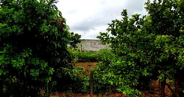 1/14 de Terreno com 250 m² em Três Pontas/MG