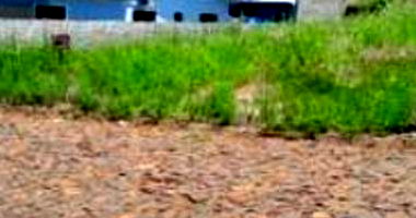 Imóvel Urbano com Área Total de 350,03 m² em Capanema - PR