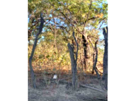 Sítio Agrícola com 50 Hectares em Xique-Xique/BA