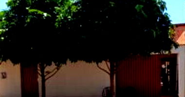 Casa Ocupada com 162m² de Área Construída em Barrolândia/TO