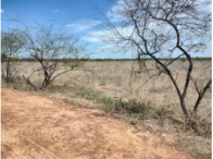 Fazenda com 357,63 ha, 4 casas de bombas