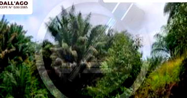 Imóvel Rural com 61,72 ha, área líquida, boa localização