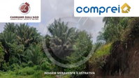 Imóvel Rural com 61,72 ha, área líquida, boa localização