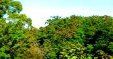 Terreno no Jardim Santa Luzia III - Paiçandu/PR