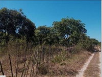 Lote com 16.432 m² em Pacajus, CE