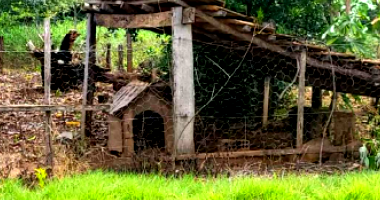 Parte ideal de Fazenda com 89,50ha em Dueré/TO