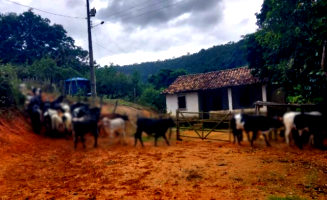 Fazenda com 396,05ha em Crisólita/MG