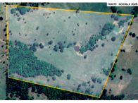 Sítio com 14,92 hectares, terra de cultura, desocupado