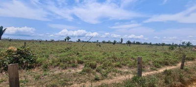 Fazenda de 400 Ha em Colniza/MT - Oportunidade Única!