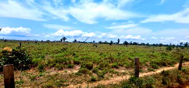 Fazenda de 400 Ha em Colniza/MT - Oportunidade Única!
