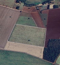 Fazenda Sete Lagoas - Imóvel Rural com 19,36 ha