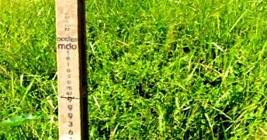 Terreno de 250m² no Jardim Padovani, sem benfeitorias