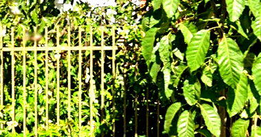 Casa com 2-3 quartos em Bela Vista do Paraíso