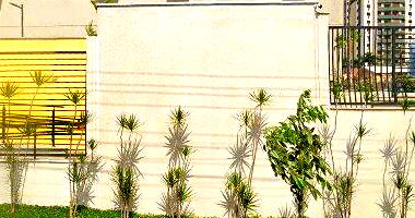 Direitos do Apartamento com Área Privativa em Araraquara/SP