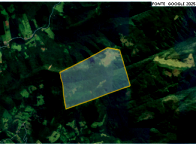 Terreno rural amplo com 243,45 hectares, sem benfeitorias