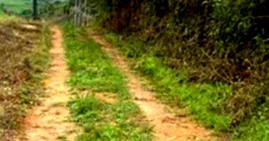 Fazenda Abismo com 101ha em Maraial/PE