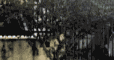 Casa espaçosa com 130m² de área construída e quartos - Ocupada