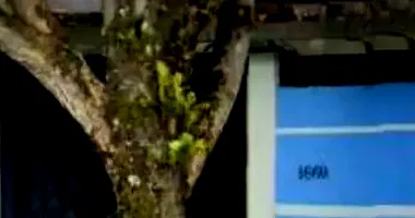 Casa com 160m² construída em terreno de 222m², imóvel ocupado