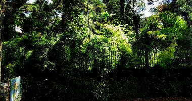Terreno em Loteamento Ipê Amarelo com 630m²