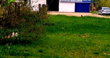 Terreno rural com várias construções e galpões, área total 37.500m²