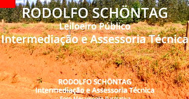 Fração Ideal 25% de Sítio com 2,5 Alqueires - Itapeva SP