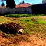 Lote 10 da Quadra 65 - Oportunidade em Serra/ES