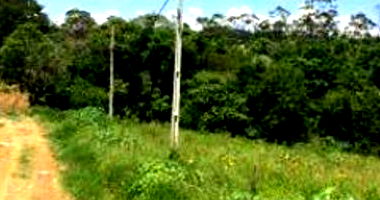 Terreno Urbano com Ampla Área em Jaboti - PR