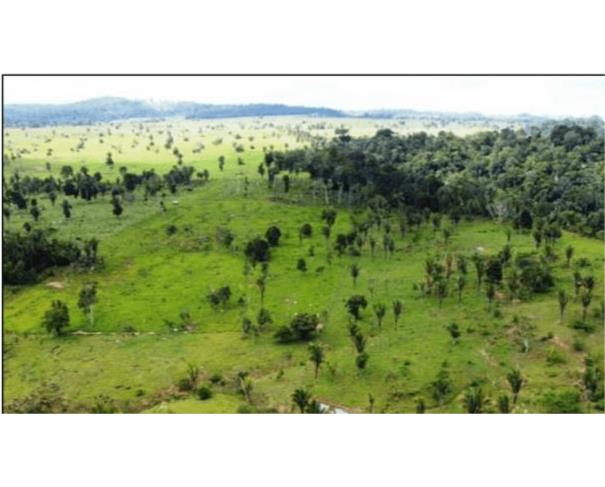 Terreno rural de 14,6068 ha em Ouro Preto do Oeste/RO