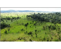 Terreno rural de 14,6068 ha em Ouro Preto do Oeste/RO