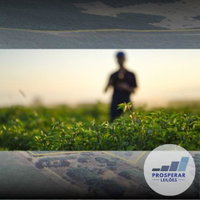 Fazenda Rural de 62ha em Jataí - Ampla Área Rural