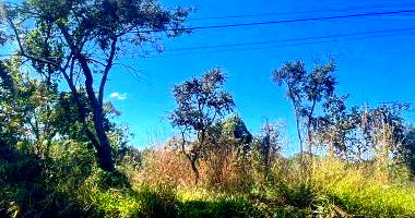 Terreno com Direitos Possessórios em Brasília