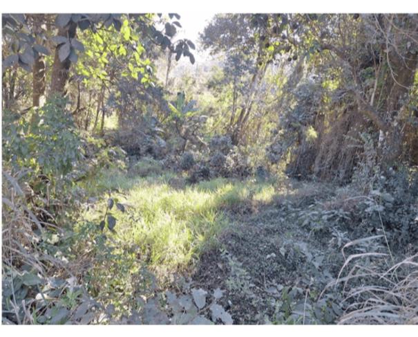 Lote TJ1332 - Terreno 729m²