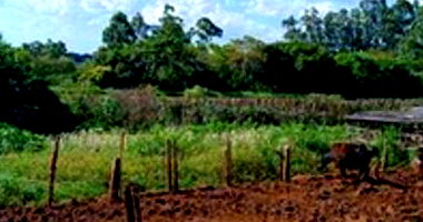 Terreno em Goioerê - PR com potencial de desenvolvimento