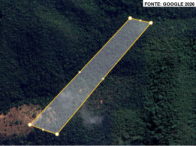Chácara com 7 hectares em Conselheiro Pena/MG - Oportunidade única de investimento