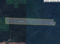 Sítio Rural 4531 hectares com Rio e Pastação