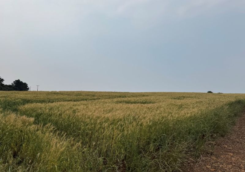 Área ideal de terras com 8.800m² em Chapecó, SC