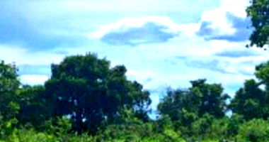 Terreno de 13.020,10m² ocupado em Cuiabá