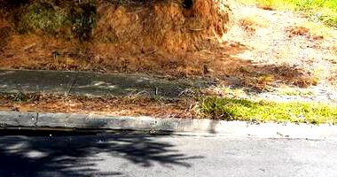 Terreno amplo de 251,75 m² com potencial construtivo em bairro residencial