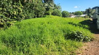 Lote Urbano com 787,20 m² em São José do Cedro/SC