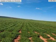Fazenda com 196,4662 hectares em Teodoro Sampaio/SP