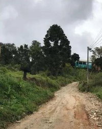 Terreno em Almirante Tamandaré - Oportunidade Única!
