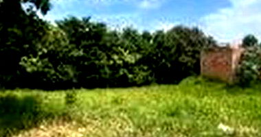 Terreno com 224,61 m² de área - Lote 477, desocupado