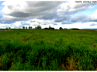 Fazenda com 381,35 hectares de cerrado e pastagem, sem benfeitorias