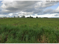 Fazenda com 381,35 hectares de cerrado e pastagem, sem benfeitorias