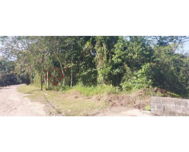 Espaçoso Terreno de 373 m² em Loteamento, ideal para construção