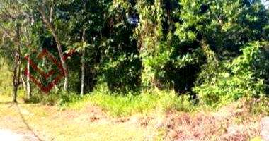 Espaçoso Terreno de 373 m² em Loteamento, ideal para construção