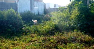 Terreno residencial em Nossa Senhora do Socorro, ideal para construção