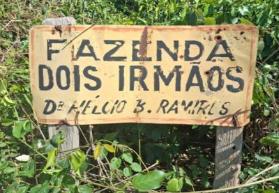 Área de Terras com 196 Hectares para Investimento