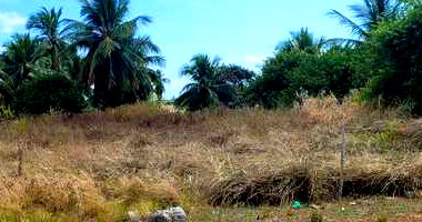 Quinhão da Fazenda Fonseca - Praia da Boa Viagem