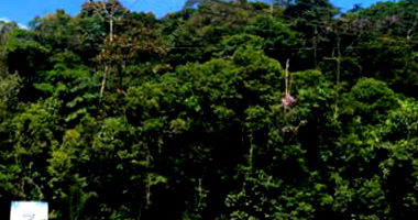 Terreno amplo com 6.330m², parte ideal 50%, área protegida